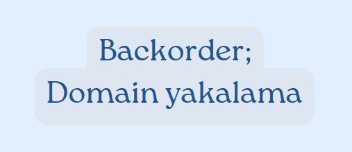 Backorder Nedir ve Neden Önemlidir?