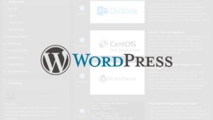 WordPress Güvenliği: Sitenizi Hackerlardan Koruma Rehberi