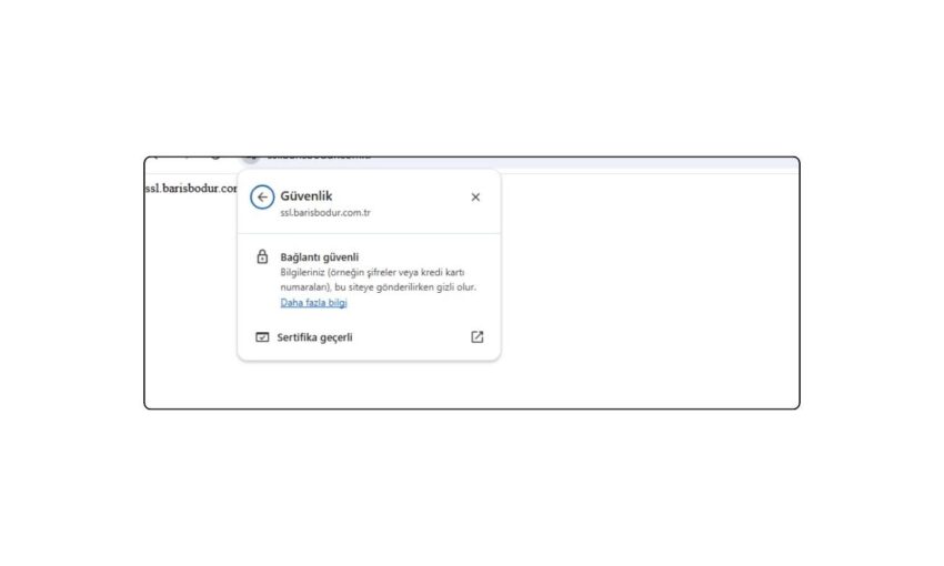 IIS Üzerinde SSL Sertifikası Kurulumu Nasıl Yapılır?
